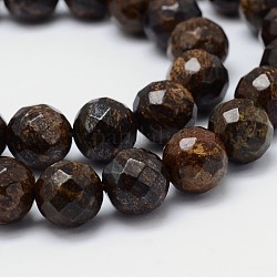 Faceted(64 Facets) Natural Bronzite Round Bead Strands, 10mm, Hole: 1mm, about 38pcs/strand, 15.5inch