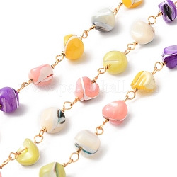 Chaînes perlées de perles de coquillages faites à la main, avec les accessoires en laiton de tonalité d'or, avec bobine, sans cadmium et sans plomb, couleur mixte, 14~15x6~8x6~7.5mm