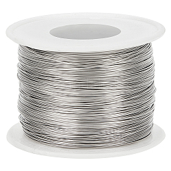 BENECREAR 160m 0.5mm Single Strand Tiger Tail Beading Wire 304 Stainless Steel Craft Jewelry Beading Wire for Crafts Jewelry Making Strapping, Sculpture Frame