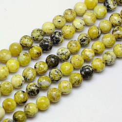 Brins de perles turquoise jaune naturel (jaspe), ronde, 10mm, Trou: 1mm