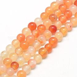 Natürlichen Karneol-Perlen Stränge, Runde, 8~8.5 mm, Bohrung: 1 mm, ca. 47 Stk. / Strang, 14.5 Zoll