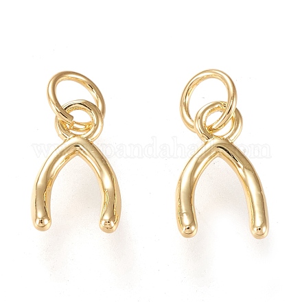 Charms in ottone&nbsp;KK-K250-03G-1