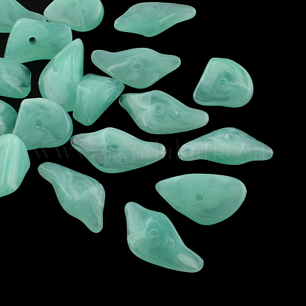 Los abalorios de acrílico piedras preciosas de imitación de chips OACR-R021-19-1