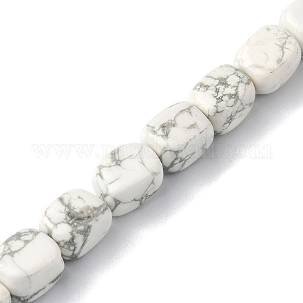 Natural Howlite Beads Strands G-F743-02S-1