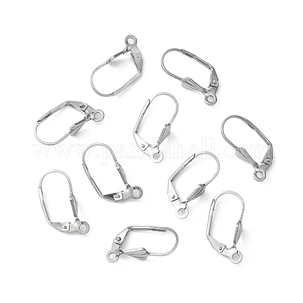 304 Stainless Steel Leverback Earring Findings X-STAS-E007-2-1