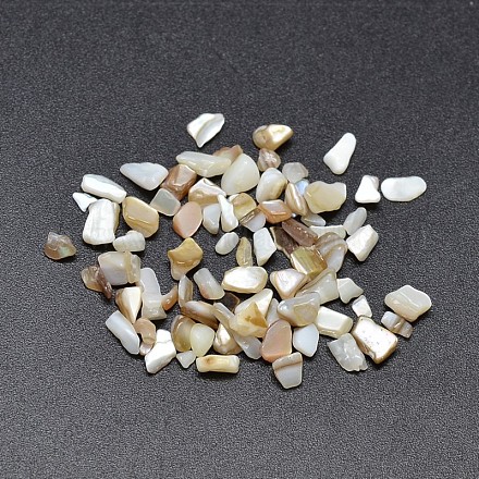 Copeaux de perles en coquille d'eau douce naturelle teinte X-SHEL-O001-17B-1