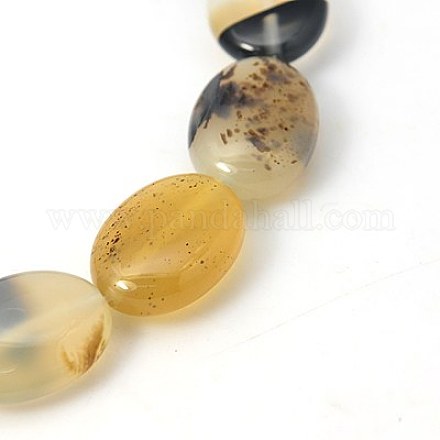 Natural Dendritic Agate Beads Strands G-G321-12x16mm-11-1