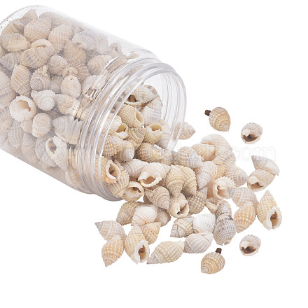 Nbeads perles de coquillage en spirale SSHEL-NB0001-01-1