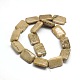 Natural Rectangle Fossil Coral Beads Strands G-L250-01-2