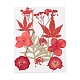 Gepresste Trockenblumen DIY-YWC0001-101-2
