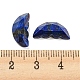 Cabujones de ala de mariposa teñidos con lapislázuli natural G-D078-02G-3