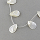 Chapelets de perles en coquillage naturel SSHEL-Q296-01-2