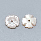 Perles roses shell SSHEL-S260-087-2