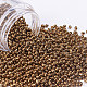 Plated Glass Seed Beads MRMJ-S028-002G-1