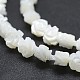 Natural White Shell Beads Strands SSHEL-P015-01A-12mm-3