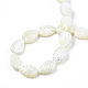 Chapelets de perles de coquille de trochid / trochus coquille SSHEL-N034-135B-01-4