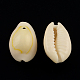 Natural Cowrie Shell Pendants BSHE-Q297-1-2