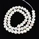 Eau douce naturelle de coquillage perles brins SHEL-N026-220A-2