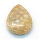 Drop Natural Fossil Coral Pendants G-R347-11-2