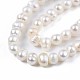 Natural Cultured Freshwater Pearl Beads Strands PEAR-N013-04A-3