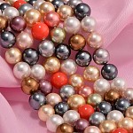 Shell Pearl Colorful Beads Strands, Grade AB, Round, Mixed Color, 8mm, Hole: 0.8mm, about 49pcs/strand, 15.5 inch