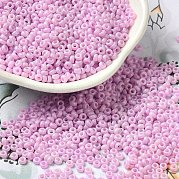 Выпечка краска стеклянные бусины SEED-P006-03A-11
