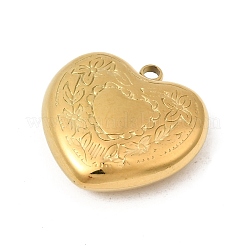 Pendentifs en acier inoxydable 304&nbsp;STAS-B128-11A-G