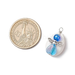 Perles de coquillages cauris mélangées naturelles avec perles acryliques transparentes écologiques et pendentifs en alliage de style tibétain en forme d'ailes de fée&nbsp;PALLOY-JF03814-02