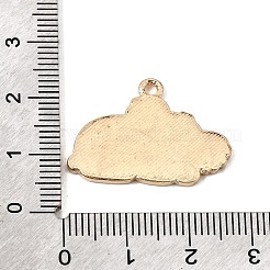 Emaille Anhänger Legierung&nbsp;AL-CBA2C8B-01B-G