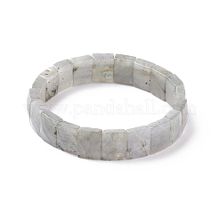Natur Labradorit Stretch-Armbänder&nbsp;BJEW-F406-B19
