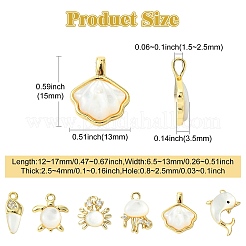 6 Stück 6 Stile Ozean Themen Messing Pflaster natürliche weiße Muschel Anhänger&nbsp;KK-CJ0003-66