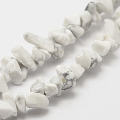 Natürliche howlite Perlen Strang&nbsp;G-F328-05