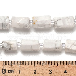 Natürliche Howlith Perlen Stränge&nbsp;G-K245-I22-01