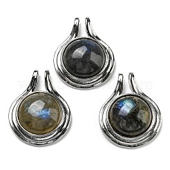 Natur Labradorit Anhänger&nbsp;G-M405-06P