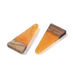 Harz & Holz Anhänger&nbsp;WOOD-F015-03B