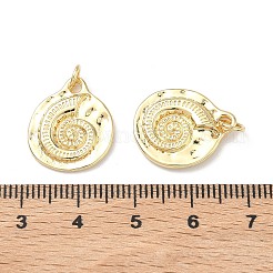 Messing Anhänger & Charms&nbsp;X-KK-C252-13G