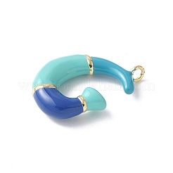 Colgantes de esmalte de latón&nbsp;KK-E093-03G-G-01