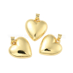 Breloques en laiton&nbsp;LS-KK-B059-29G