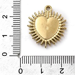 Pendentifs en acier inoxydable 304 émaillés&nbsp;STAS-I355-10G-02