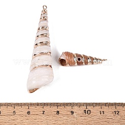Grandi pendenti in conchiglia a spirale naturale galvanizzata&nbsp;SSHEL-Q100-26KCG