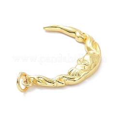 Messing Anhänger & Charms&nbsp;KK-L188-39G
