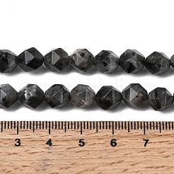Natürliche Larvikit-Perlenstränge&nbsp;G-Z119-A32-02
