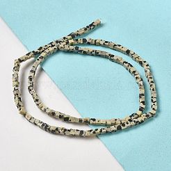 Dalmata naturale perline di diaspro fili&nbsp;G-B064-A11