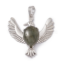 Natur Labradorit Anhänger&nbsp;G-P484-05P-06