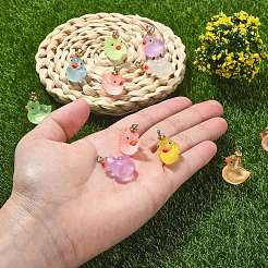 40pcs 8 couleurs pendentifs en résine transparente&nbsp;RESI-SZ0003-27