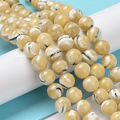 Fili di perline di conchiglia trochus naturale&nbsp;BSHE-P033-03B