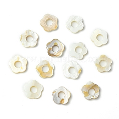 20 pz cornici per perline di conchiglie d'acqua dolce&nbsp;SHEL-YW0001-08