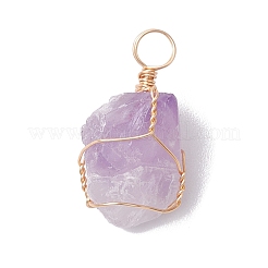 Pendentifs enveloppés de fil de cuivre d'améthyste naturelle brute brute&nbsp;PALLOY-JF02787-02