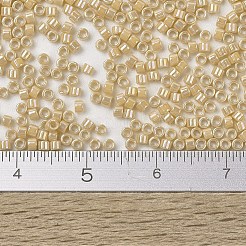 Miyuki Delica Perlen&nbsp;SEED-MY11-DB1571