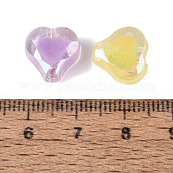 Perle di plastica trasparente&nbsp;KY-Q010-22